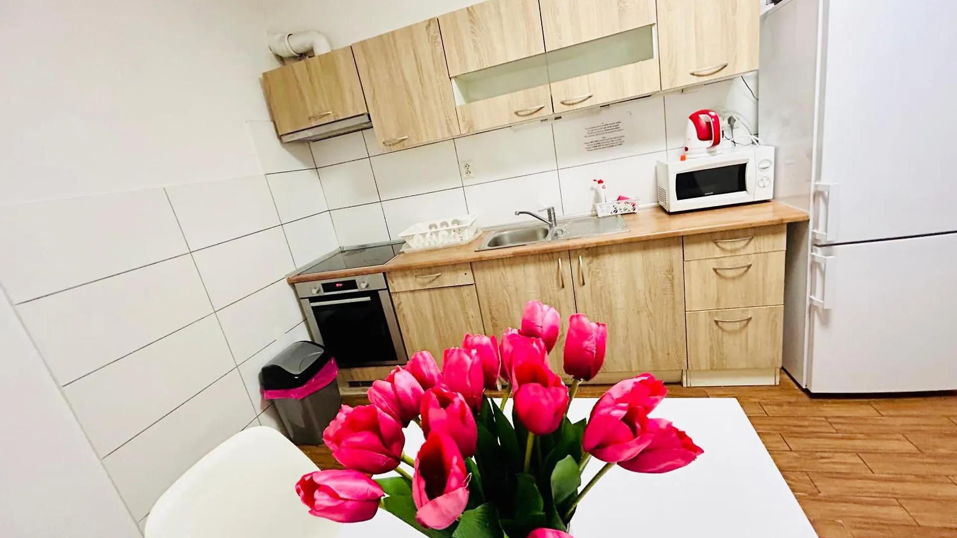Villa Apartments With Free Parking Prague 5